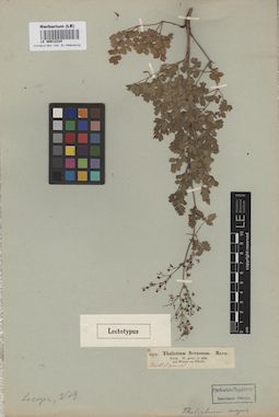 LE 00012334