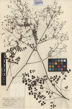 LE 00012348