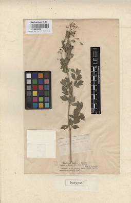 LE 00012350