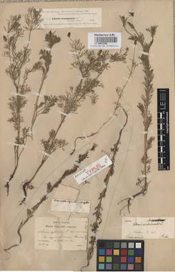 LE 00012355
