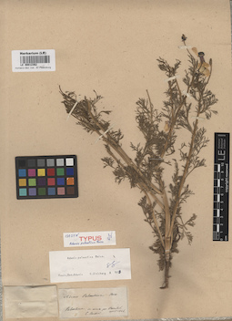 LE 00012362
