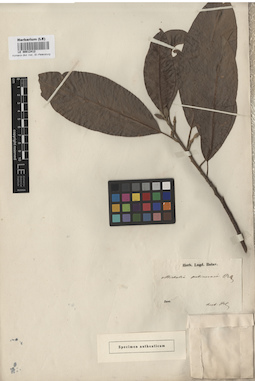 LE 00012412