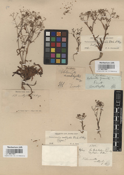 LE 00017984