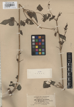 LE 00017990