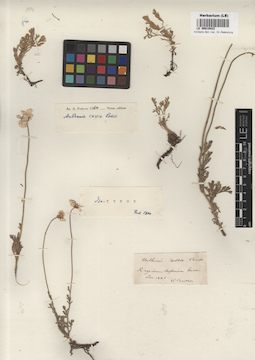 LE 00018022