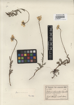 LE 00018024