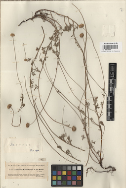 LE 00018028