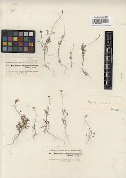 LE 00018030