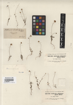 LE 00018031