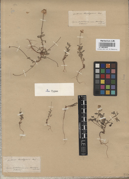 LE 00018042