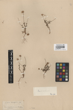 LE 00018043