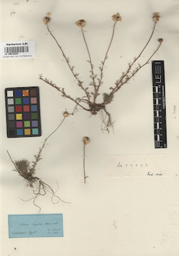 LE 00018045