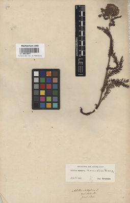 LE 00018047