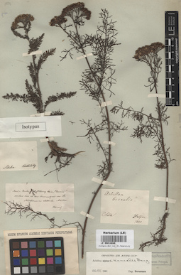 LE 00018048