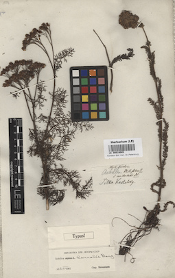 LE 00018049