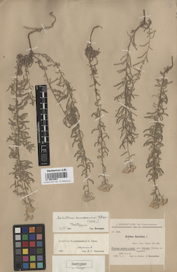 LE 00018051