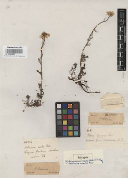 LE 00018052