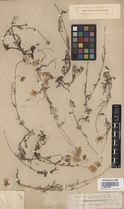 LE 00018054