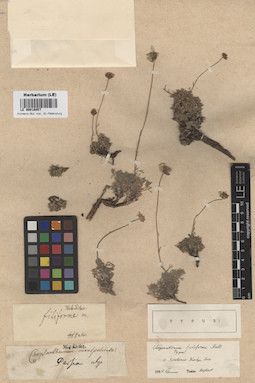 LE 00018057
