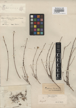 LE 00018058