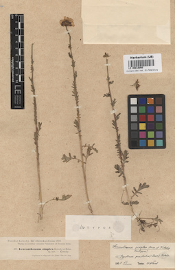 LE 00018060