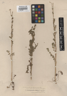 LE 00018061