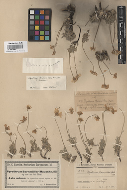 LE 00018063
