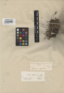 LE 00018070