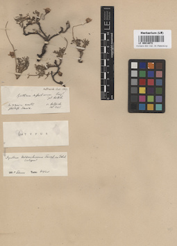 LE 00018072