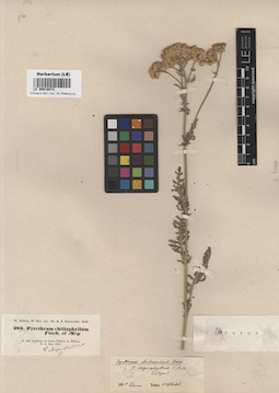 LE 00018073