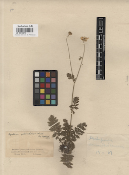LE 00018078