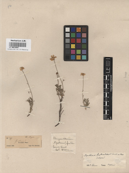 LE 00018083