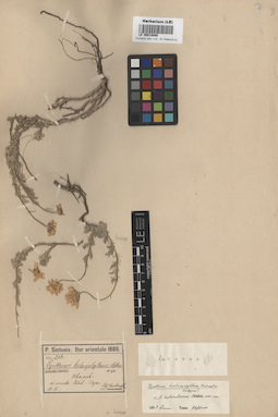 LE 00018086