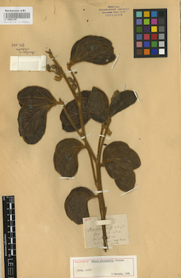 LE 00002195