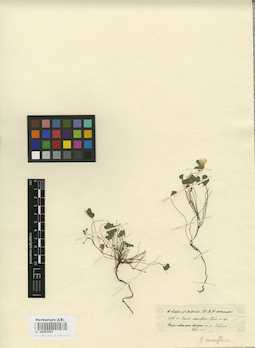 LE 00002585