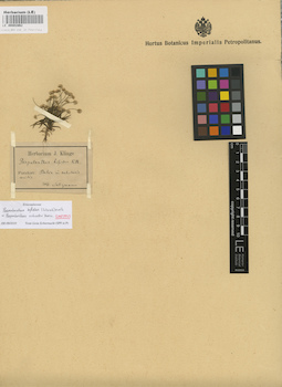 LE 00002862