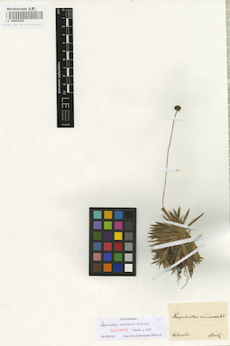 LE 00002885