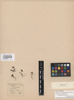 LE 00004128