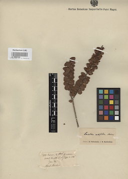 LE 00004362