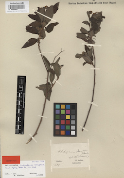 LE 00004652
