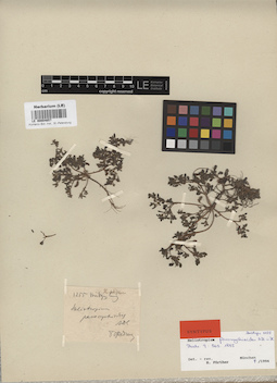 LE 00004657
