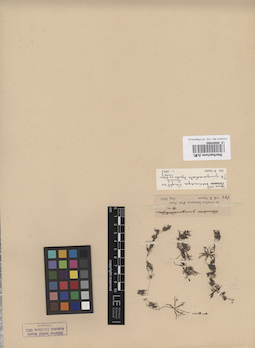 LE 00004980