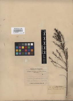 LE 00005664