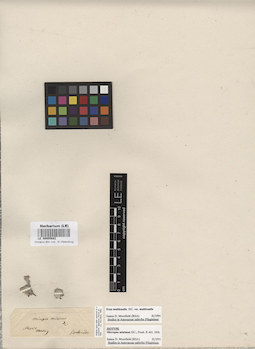 LE 00005682