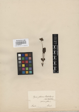 LE 00005810