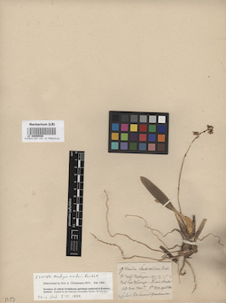 LE 00006586
