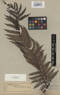 LE 00007994