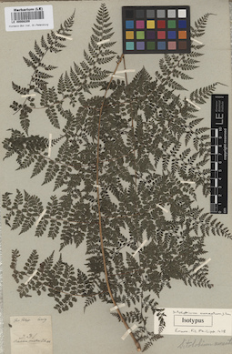 LE 00008209