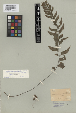 LE 00008370