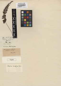 LE 00008587